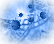 До 80% смертей от хронических неинфекционных заболеваний в России можно предотвратить До 80% смертей от хронических неинфекционных заболеваний в России можно предотвратить