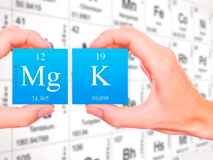 Роль калия и магния в работе сердечно- сосудистой системы