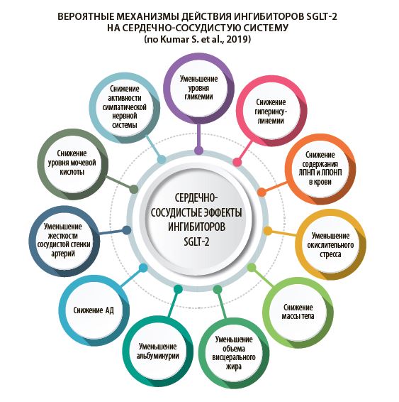 Ингибиторы SGLT‑2 в практике терапевтов и врачей смежных специальностей