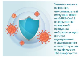 Чего ожидать от иммунного ответа против COVID‑19?