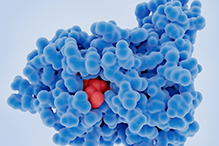 Стабилизационная химиотерапия при злокачественных трофобластических опухолях высокого риска: помогает или вредит?