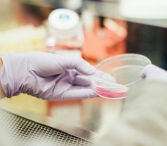 SPAQI пересматривает подходы к предоперационной подготовке пациентов, получающих GLP-1