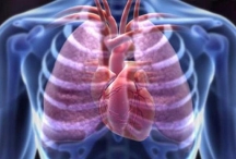 Ишемическая болезнь сердца — в числе наиболее частых заболеваний, сопутствующих хронической обструктивной болезни легких