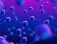 Молекулярная диагностика: новые ориентиры в онкопатологии Молекулярная диагностика: новые ориентиры в онкопатологии