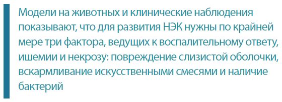 Модели на животных и клинические наблюденияпоказывают, что для развития НЭК нужны по крайнеймере три фактора, ведущих к воспалительному ответу,ишемии и некрозу: повреждение слизистой оболочки,вскармливание искусственными смесями и наличиебактерий