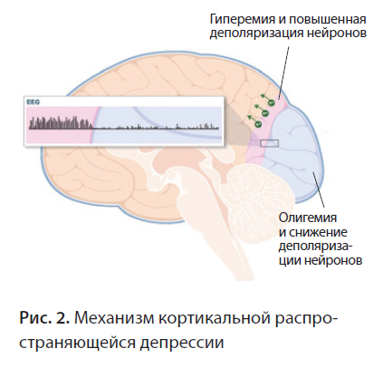 СнимокНС4-19-15.PNG