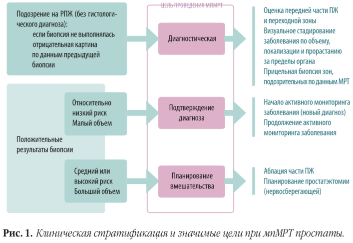 активное наблюдение 2