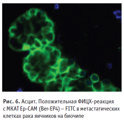 СнимокОС11920.PNG