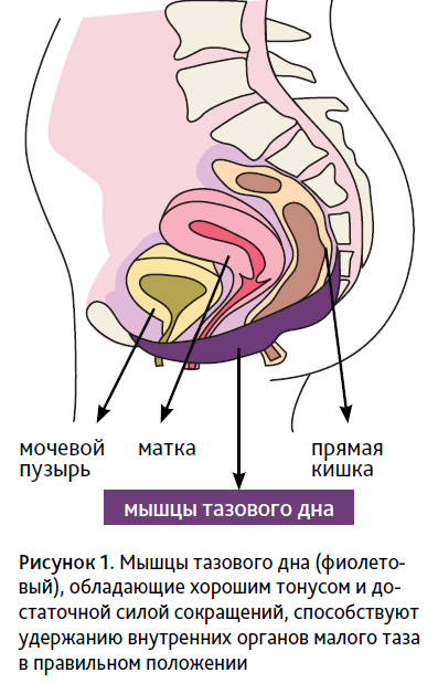 АГС 2-22-07.PNG