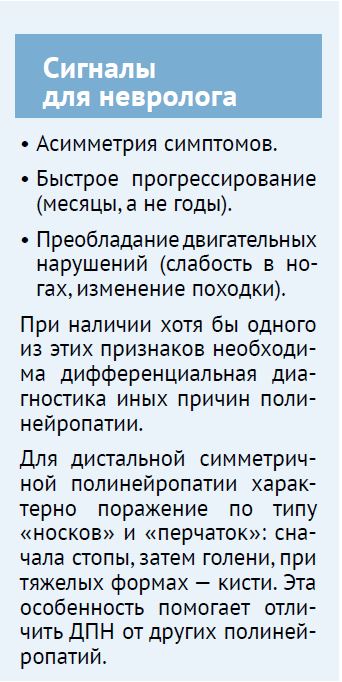 НС 1-26-24.JPG
