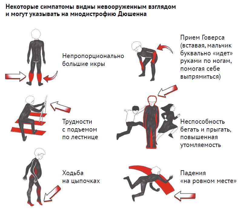 ПС 5-26-23.JPG