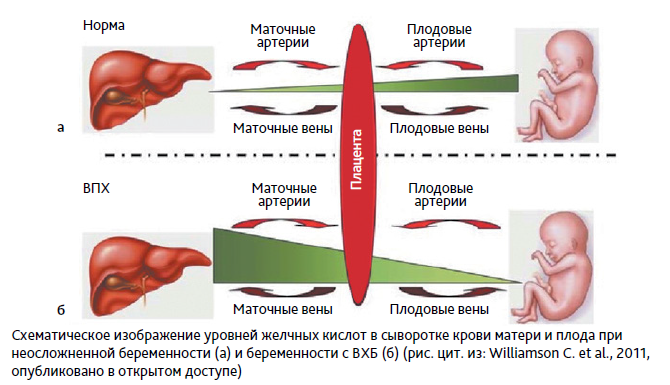 АГС 4-23_18.PNG