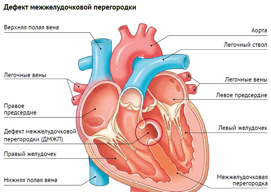 ПС 5-26-21.JPG