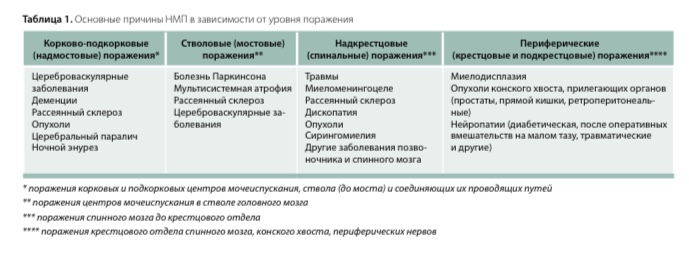 Нейрогенный мочевой пузырь.jpg