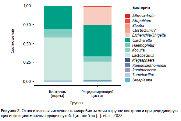 АГС 2-22-19.PNG