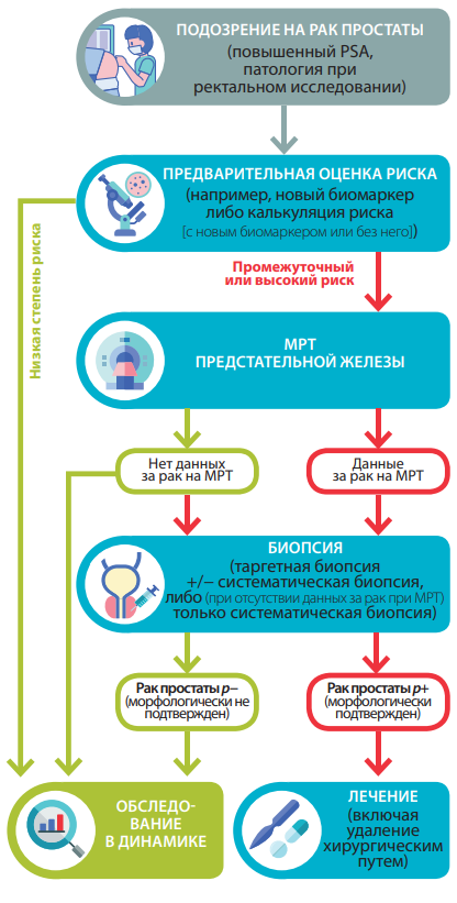 Алгоритм обследования