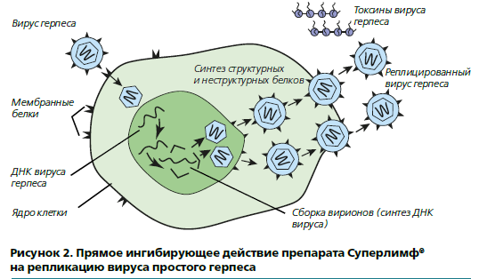 Снимок35.PNG