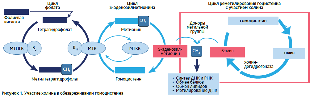 Снимок АГС 4-21_13.PNG