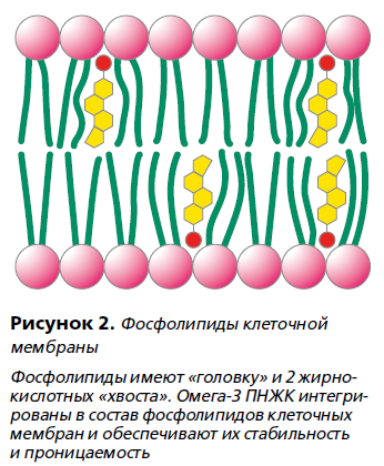 Снимок435.PNG