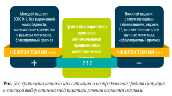 бессмысленная нефрэктомия