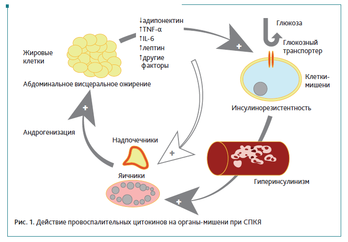 СнимокАГС 1-21-23.PNG