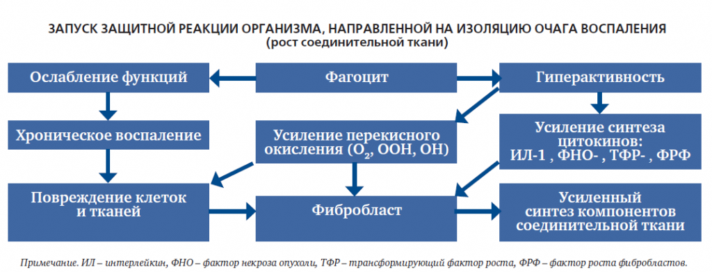 СнимокАГС31925.PNG