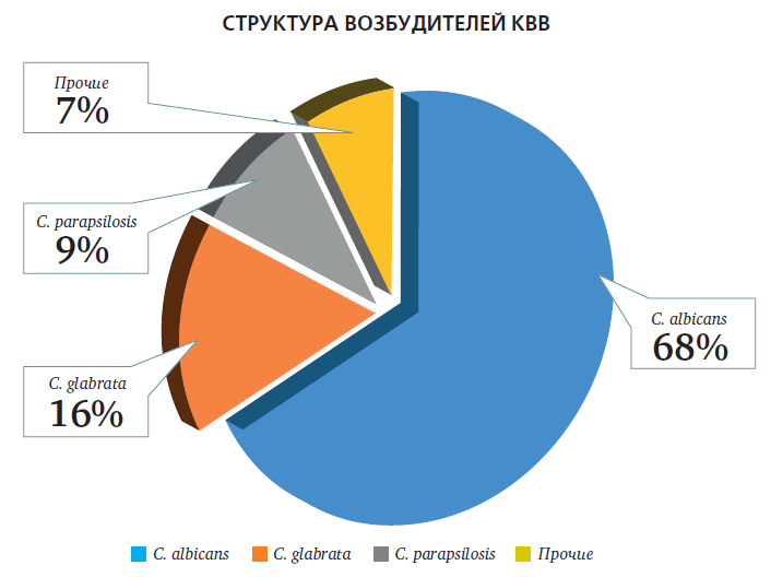 СнимокАГС31924.PNG